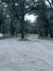 Sciurus nayaritensis