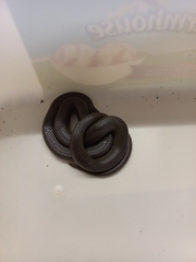 Lycodonomorphus rufulus