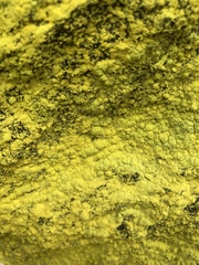 Chrysothrix chlorina