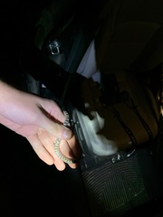 Arizona elegans elegans