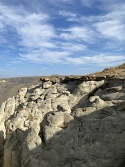 Salpinctes obsoletus