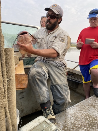 iNaturalist observation 2022-09-14