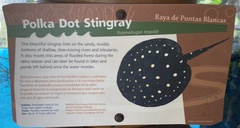 Potamotrygon leopoldi