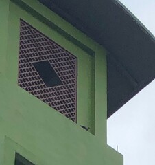 Streptopelia chinensis