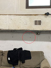 Stylogomphus sigmastylus