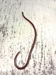 Serpentes