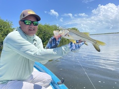 Centropomus undecimalis