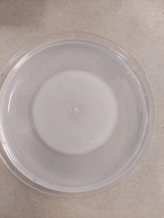 Erysiphe liriodendri