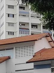 Acridotheres javanicus