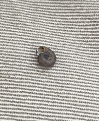 Planorbella trivolvis