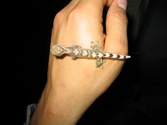 Thecadactylus solimoensis