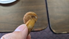 Cystoderma