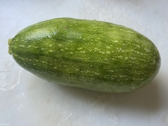 Cucurbita moschata