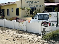 Phoenicopterus ruber