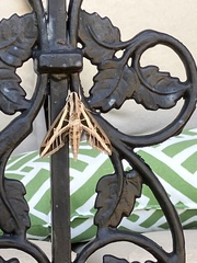Eumorpha fasciatus