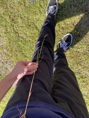 Echinochloa crus-galli