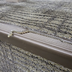 Lampropeltis holbrooki