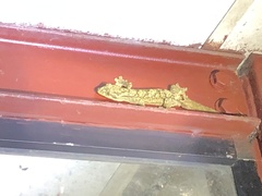 Thecadactylus solimoensis