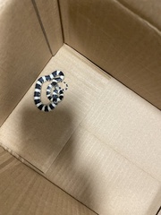 Rhinocheilus lecontei