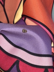 Pseudocneorhinus bifasciatus