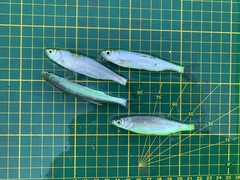 Hemiculter leucisculus