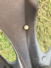 Xeroplexa intersecta