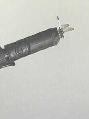 Erythemis simplicicollis