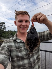 Paralichthys lethostigma