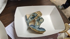 Gyroporus cyanescens