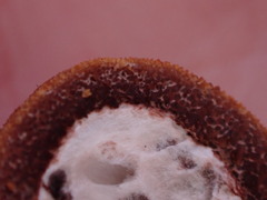 Elaphomyces muricatus