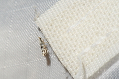 Argyresthia austerella