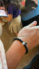 Diapheromera femorata