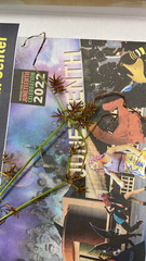 Cyperus odoratus odoratus