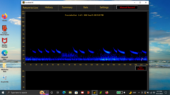 Tadarida brasiliensis