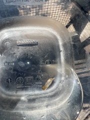 Ecteinascidia turbinata