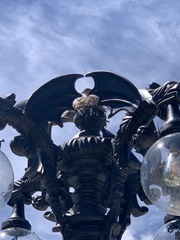 Streptopelia decaocto