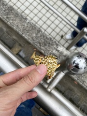 Argynnis hyperbius hyperbius