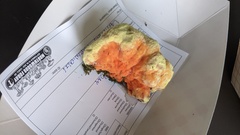 Laetiporus huroniensis