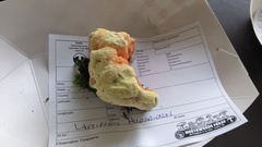 Laetiporus huroniensis