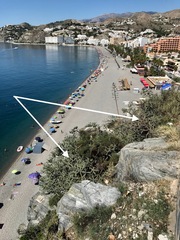 Austrocylindropuntia subulata