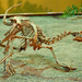 Velociraptor - Photo (c) Ben Townsend,  זכויות יוצרים חלקיות (CC BY)
