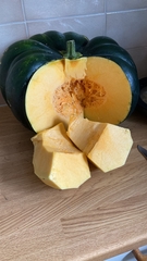 Cucurbita maxima maxima
