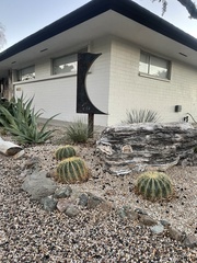 Ferocactus glaucescens