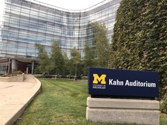 Leiothlypis peregrina