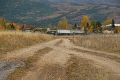 Carpodacus sibiricus