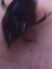 Anoplotrupes stercorosus