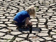 Micromitrium synoicum