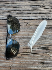 Pelecaniformes