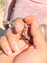 Mastigodryas melanolomus