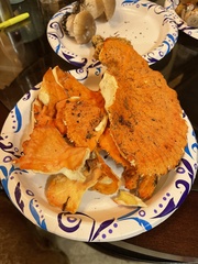 Laetiporus conifericola